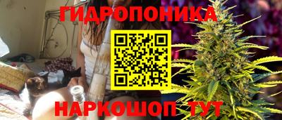 мдма Гусев