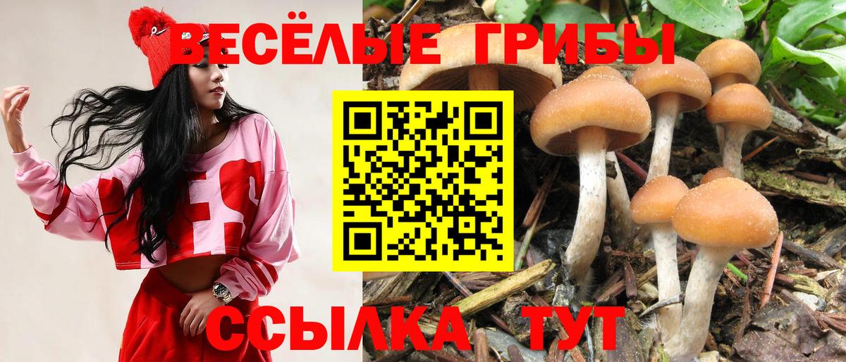 Псилоцибиновые грибы ЛСД Йошкар-Ола