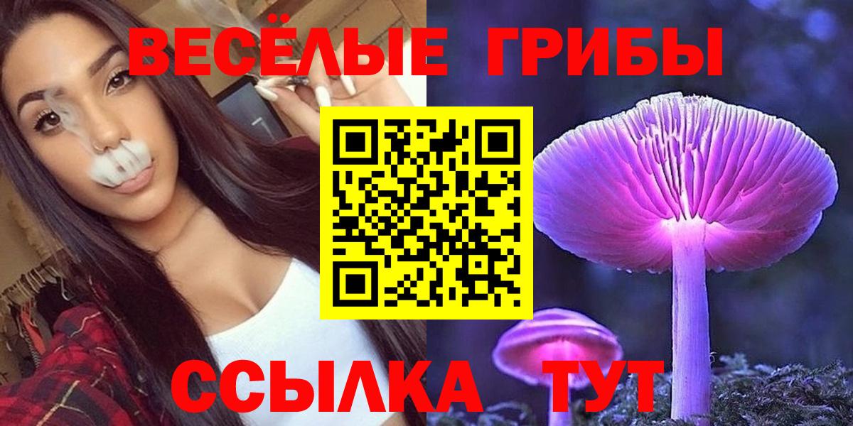 Псилоцибиновые грибы Psilocybe  где найти   Вход с VPN  Йошкар-Ола  Псилоцибиновые грибы Psilocybine cubensis 